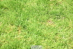 250615A-122119-10678