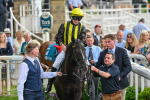 Race 6 4.25pm Royal Yorkshire Regiment Handicap portfolio