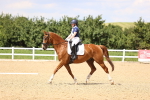 SBM_002074