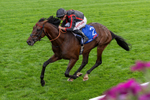 190826-Race 3-Maltese Cross-0351