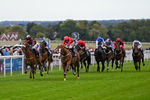 160926-Race 4-Woodvale-0627