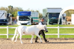 SBM_07939