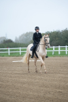 SBM_003323