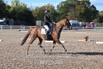 BPP_9260
