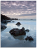 01141418 - Petit Bot