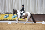 SBM_008777