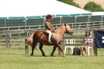 SBM_05379