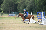 WJ6_8962