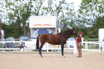 SBM_15372