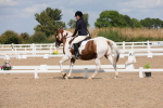SBM_04154