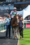 300526-Race 4-Whos Lope-5872