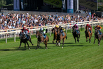 Race 2 18.05pm Elevator Company Handicap portfolio