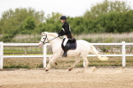 SBM_008595