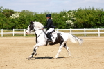 SBM_007698