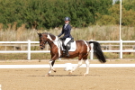 SBM_000399