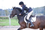 Unaffiliated Show Jumping portfolio