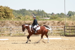 SBM_002833