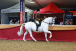 SBM_00328