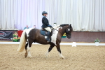 SBM_000724