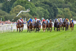 260823-Race 4-Absurde-0881