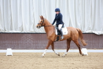 SBM_008234