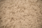 SBM_000298