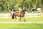SBM_69045