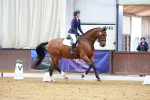 SBM_001914