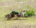 20140419-3K8A0337