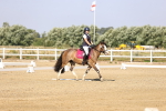 SBM_002668