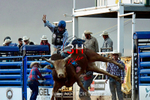 3HRodeo7-10-24_3HR1370_LJD