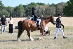 WJ7_3010