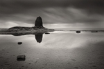 Black Nab