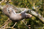 Hanging Around!