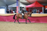 SBM_05198