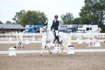 SBM_00175