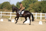 SBM_013641