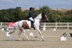 SBM_021075