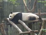 CHINA__0083