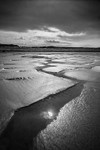 IMG_9519 bw