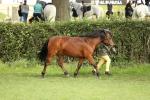 SBM_68519