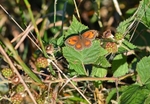 Gatekeeper