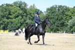 WJ7_9871