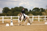 SBM_006583