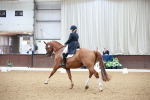 SBM_008691