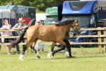 SBM_02087