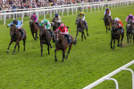 230824-Race 4-Bradsell-8406