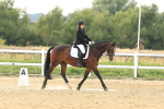 SBM_000742