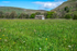 Swaledale Barn
