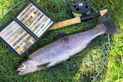 Fishing in Norfolk (Fishing Hobbs Lake ,Nar Valley Fisheries) portfolio